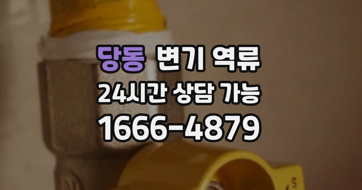 당동 변기 역류