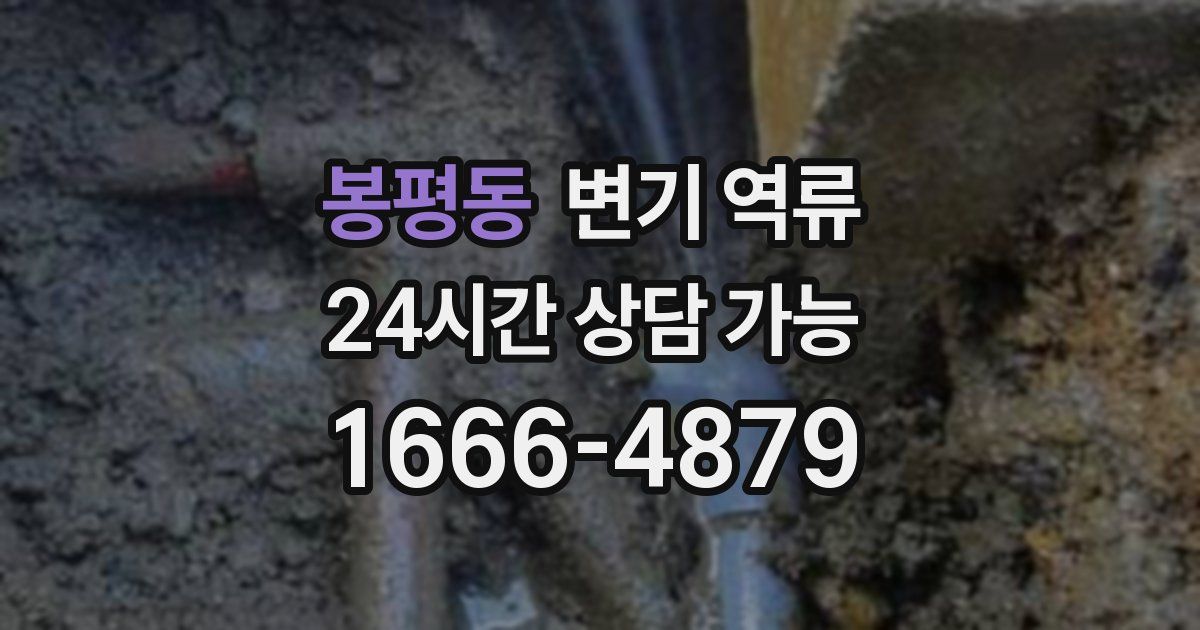 봉평동 변기 역류