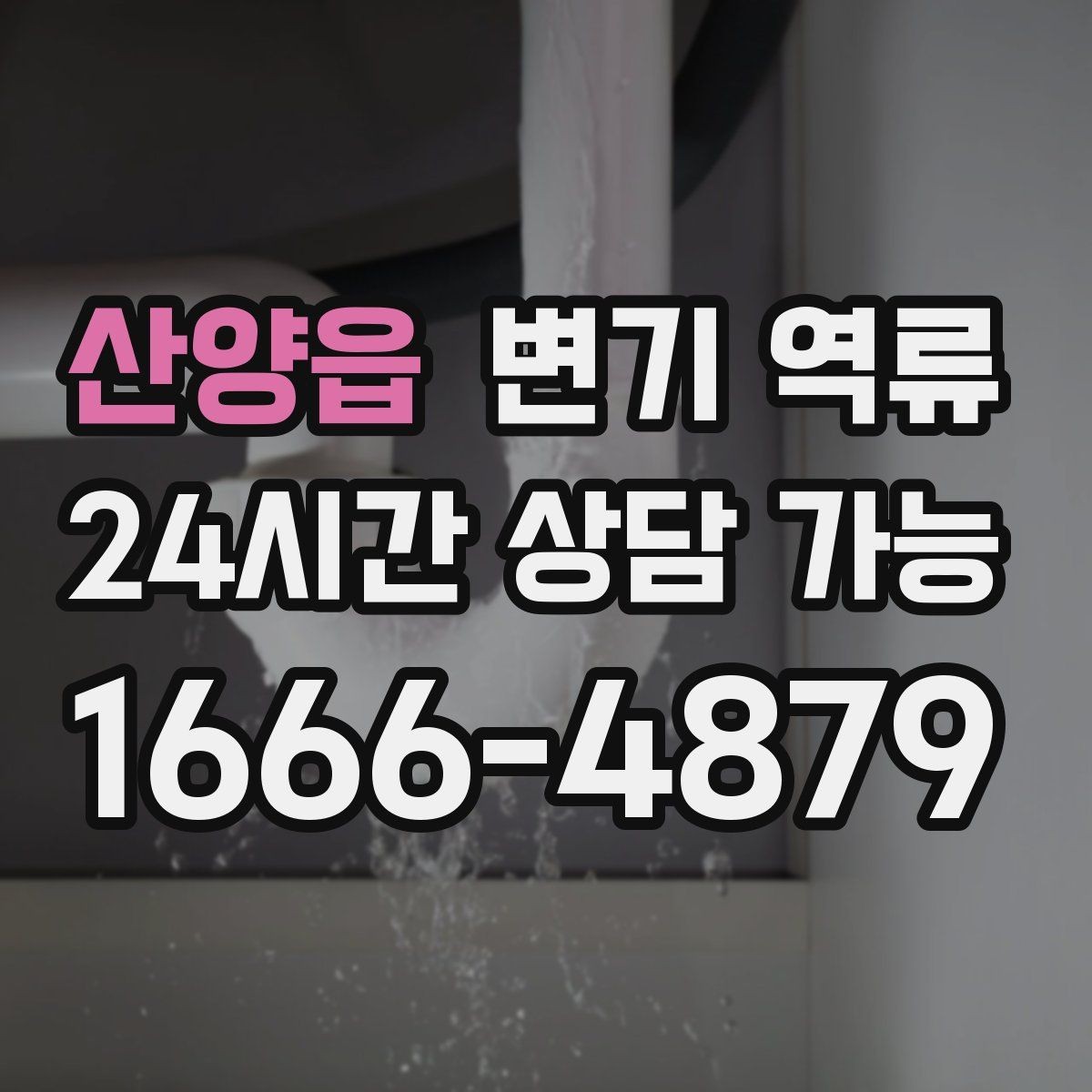 산양읍 변기 역류 세대 배관과 공용 배관을 구분하는 기준