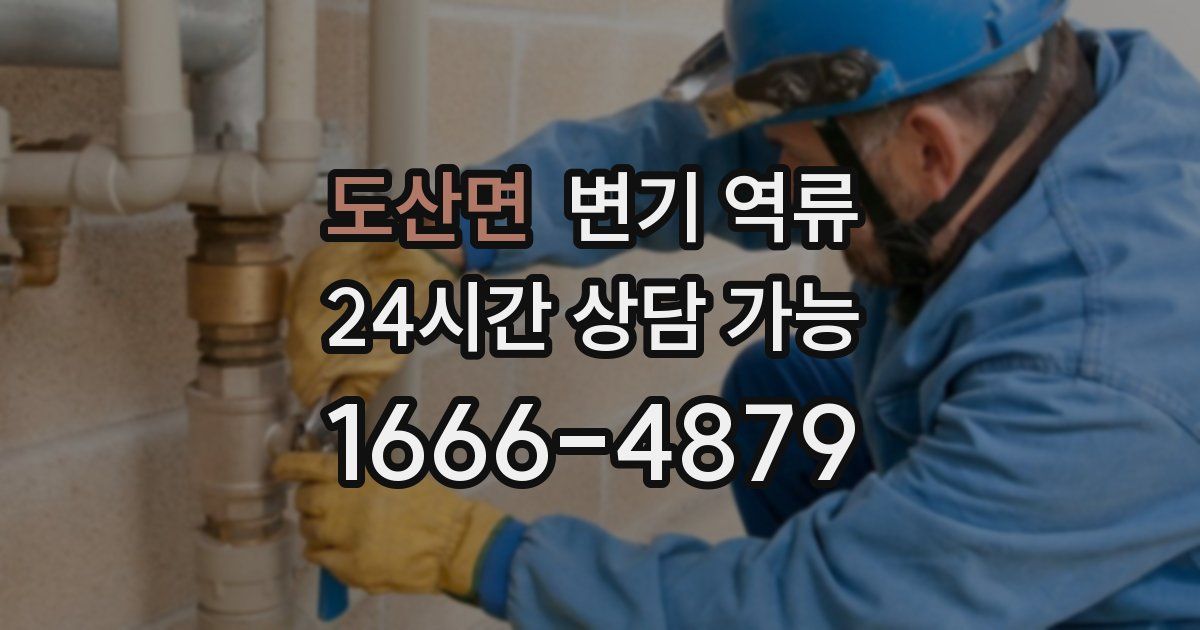 도산면 변기 역류