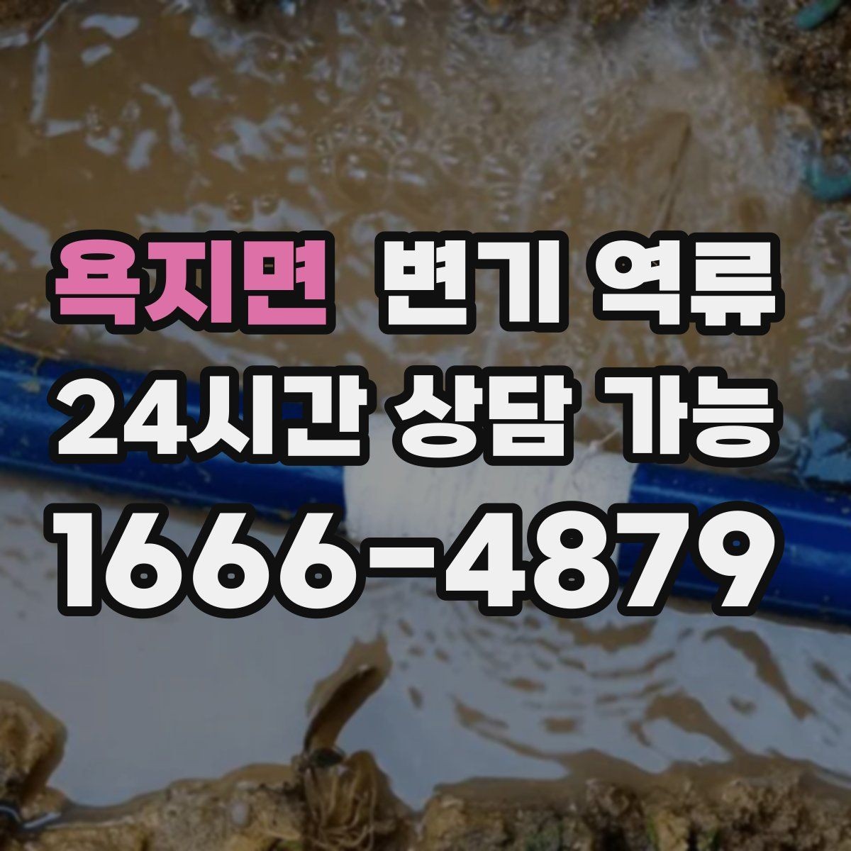 욕지면 변기 역류 공용 오수관이 막히면 왜 우리 집으로 올라올까
