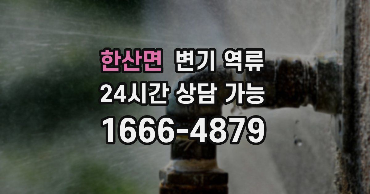 한산면 변기 역류