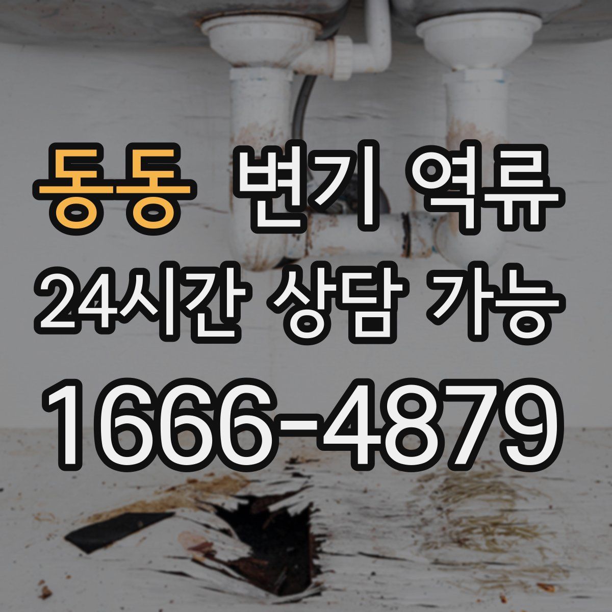 동동 변기 역류