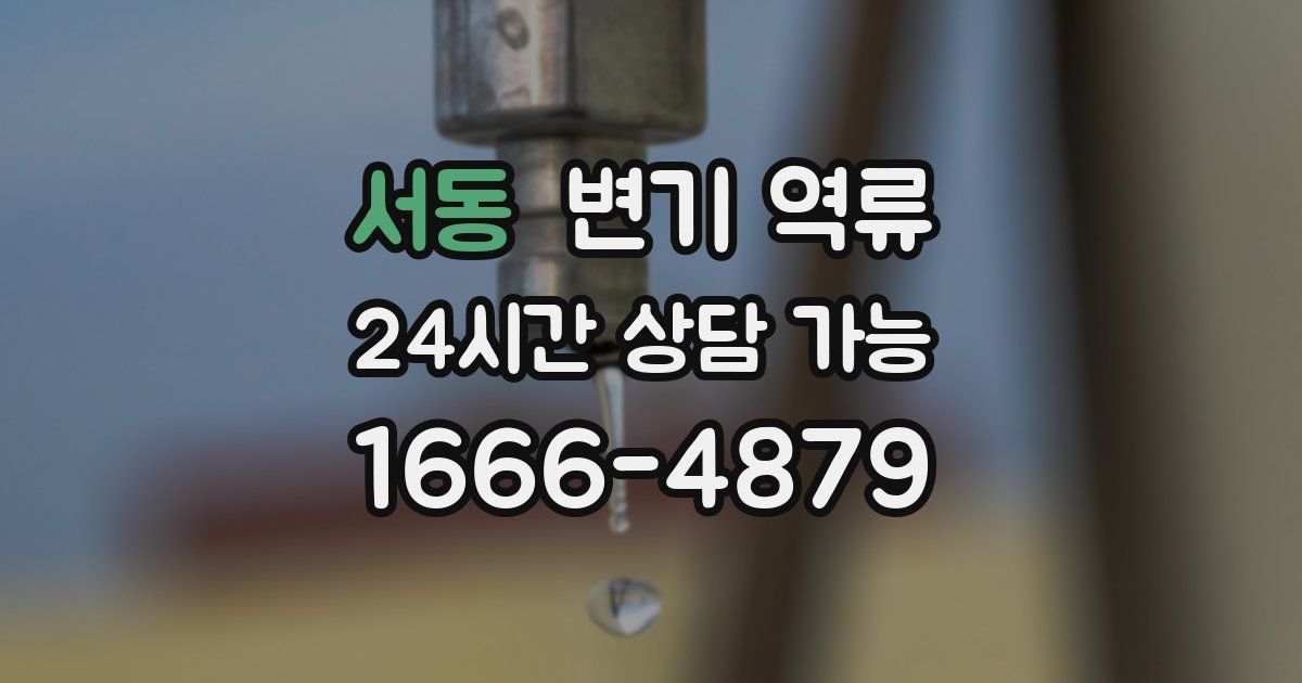 서동 변기 역류