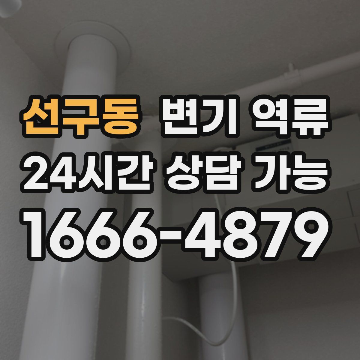 선구동 변기 역류