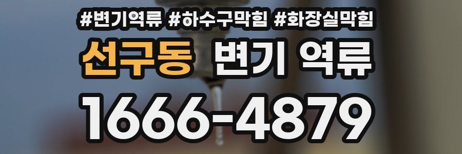 선구동 변기 역류