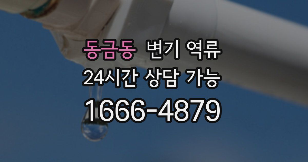 동금동 변기 역류