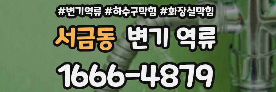 서금동 변기 역류