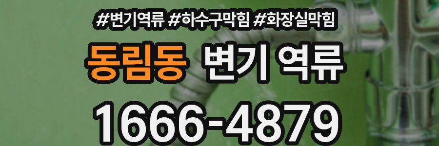 동림동 변기 역류