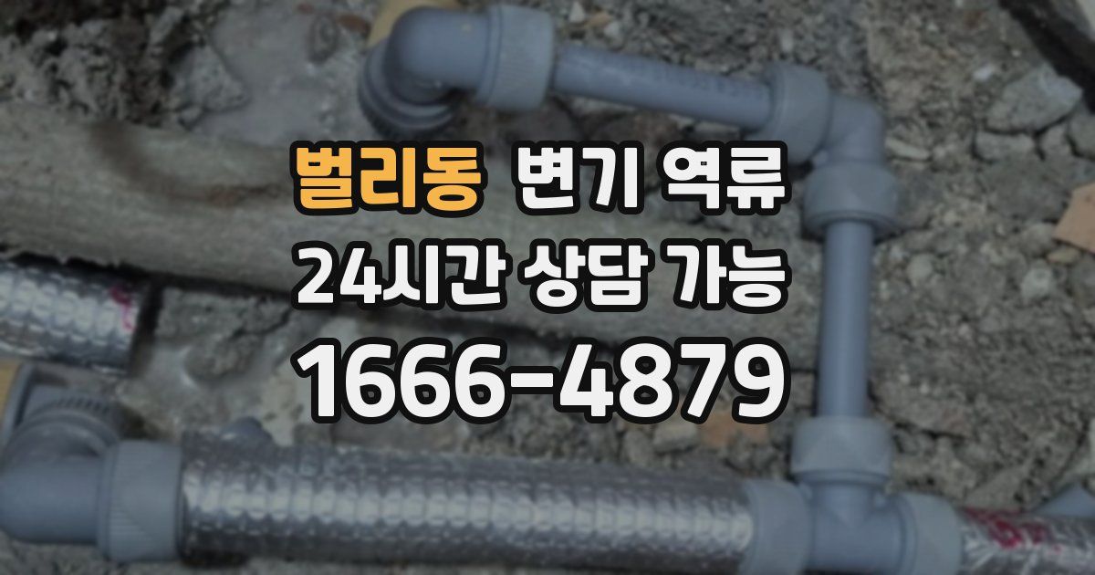 벌리동 변기 역류