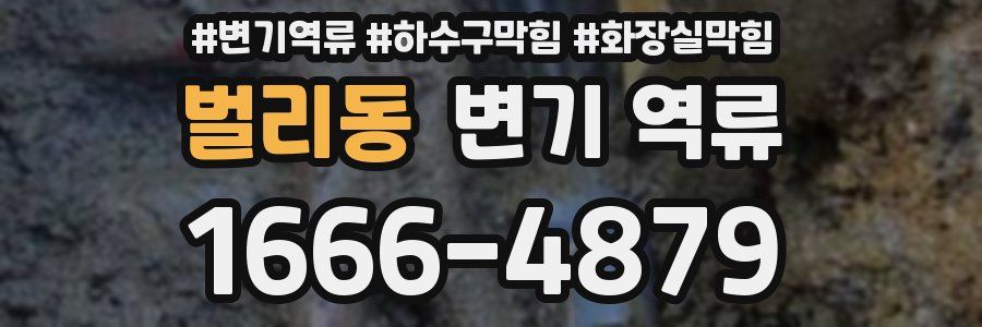 벌리동 변기 역류