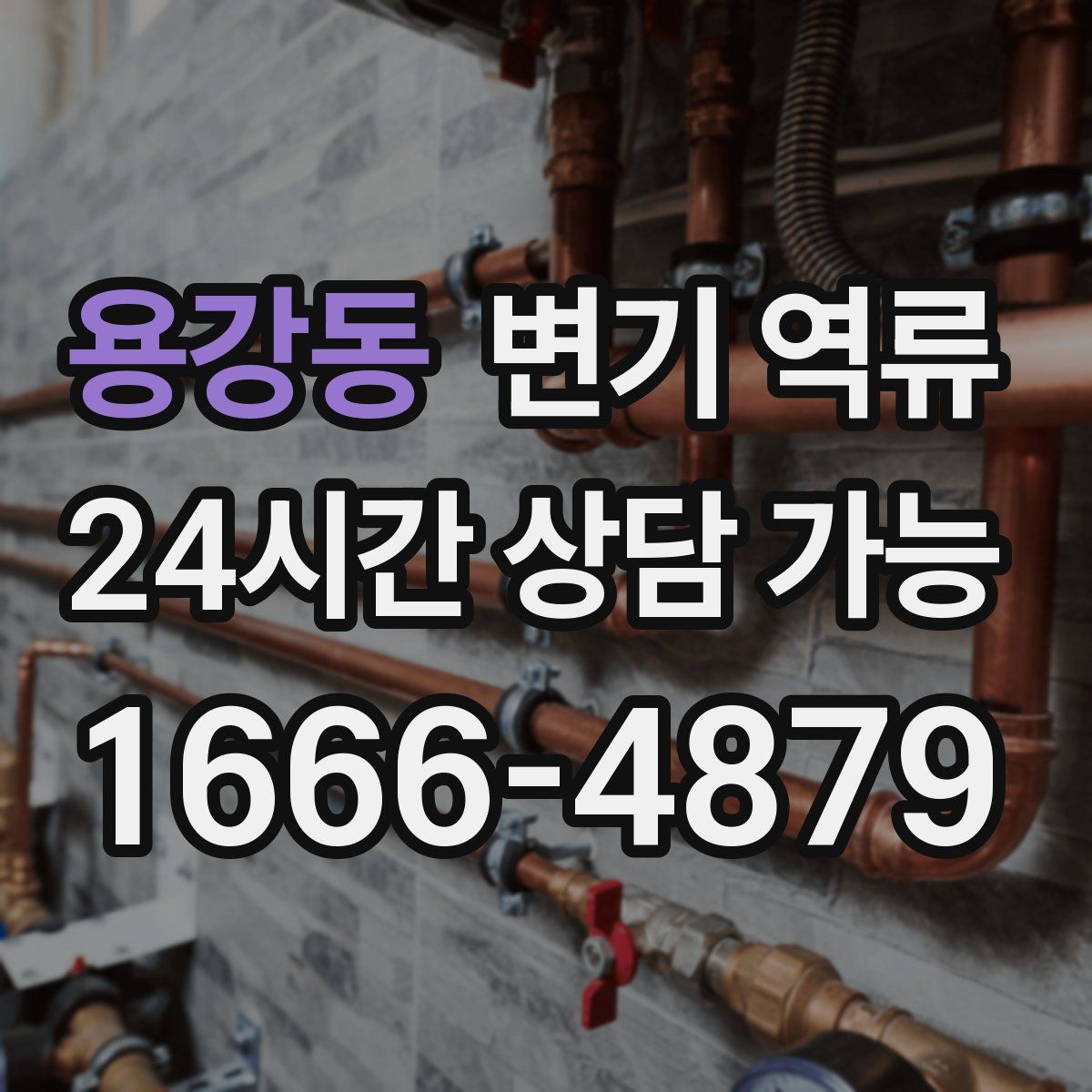 용강동 변기 역류