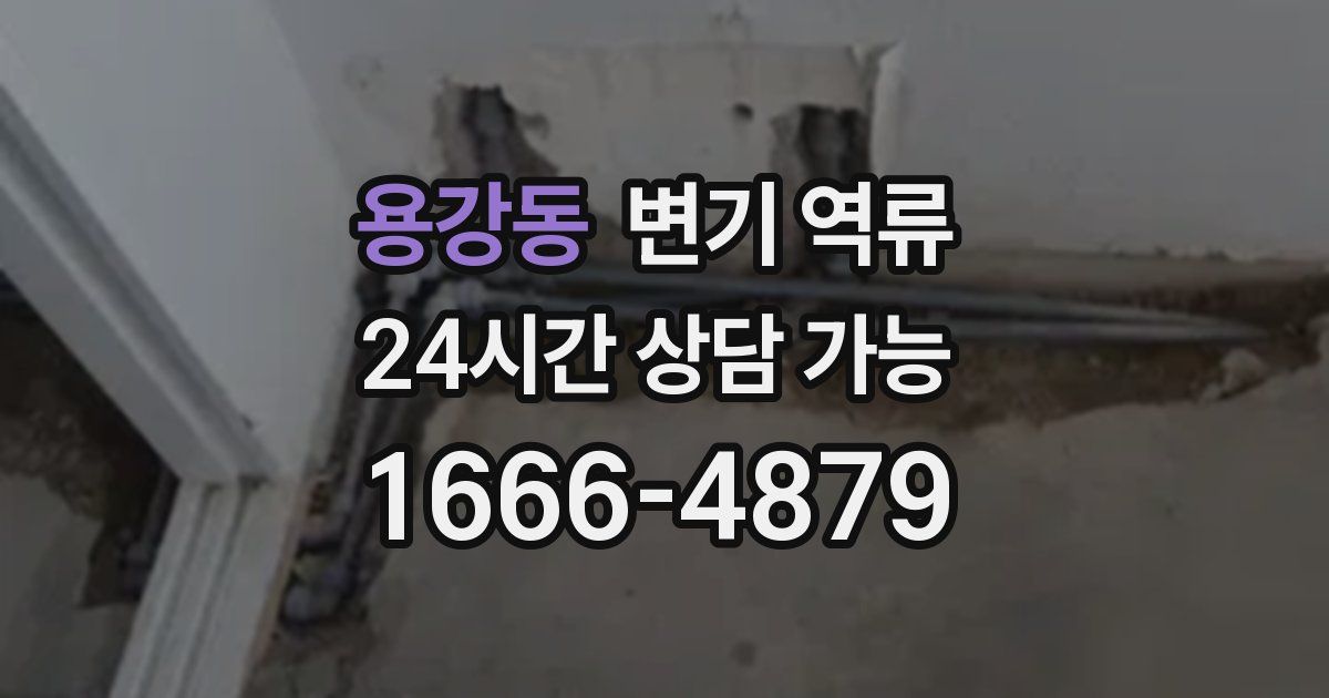 용강동 변기 역류