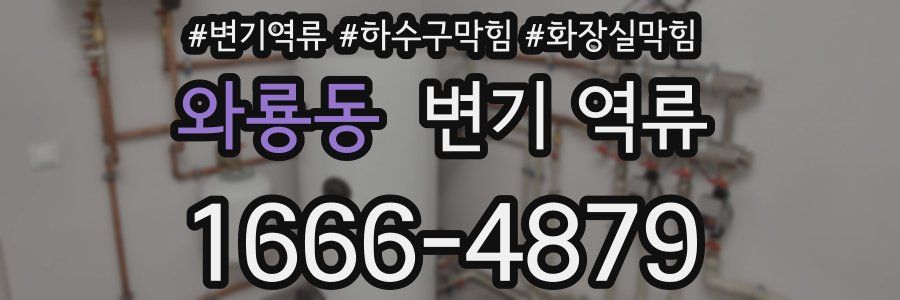 와룡동 변기 역류