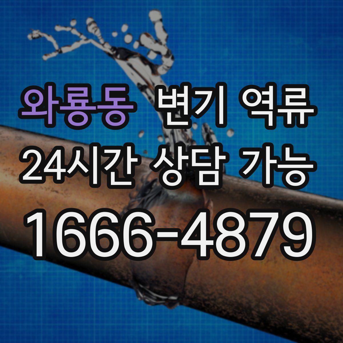 와룡동 변기 역류