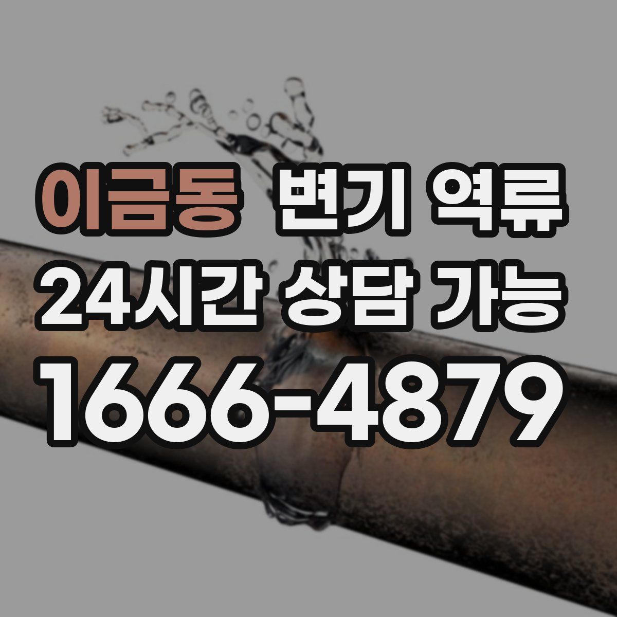 이금동 변기 역류