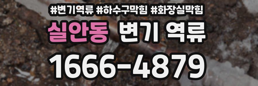 실안동 변기 역류