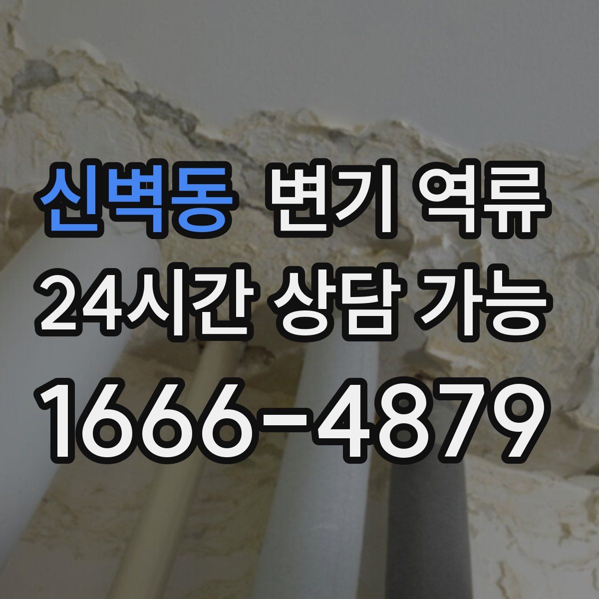 신벽동 변기 역류