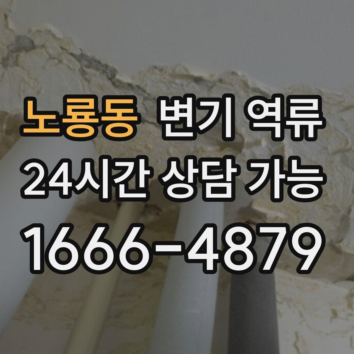 노룡동 변기 역류