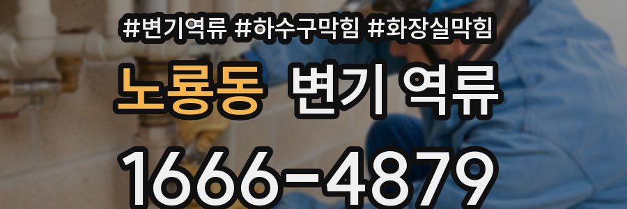 노룡동 변기 역류