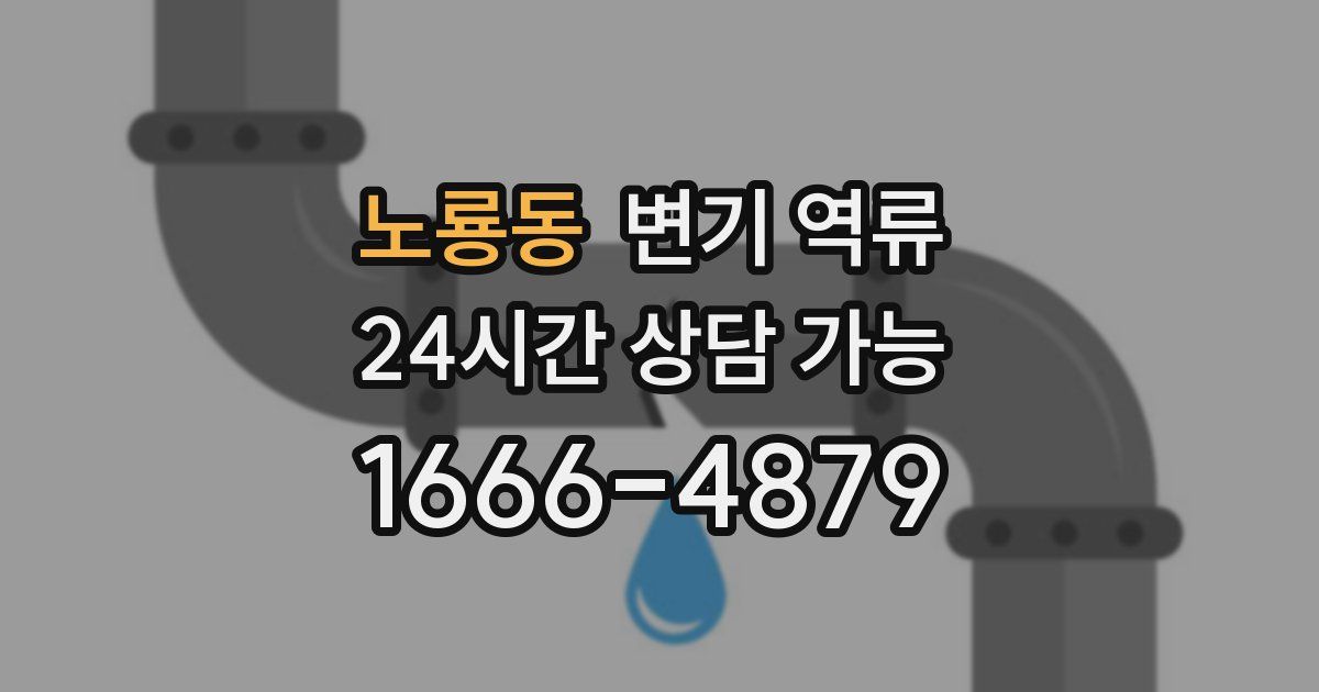 노룡동 변기 역류