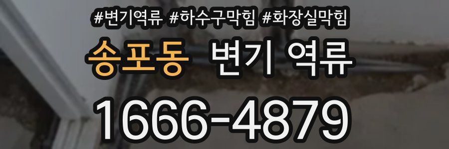 송포동 변기 역류