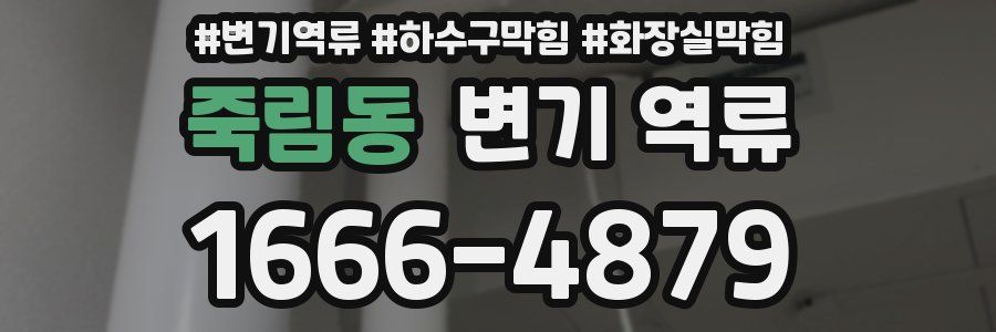 죽림동 변기 역류