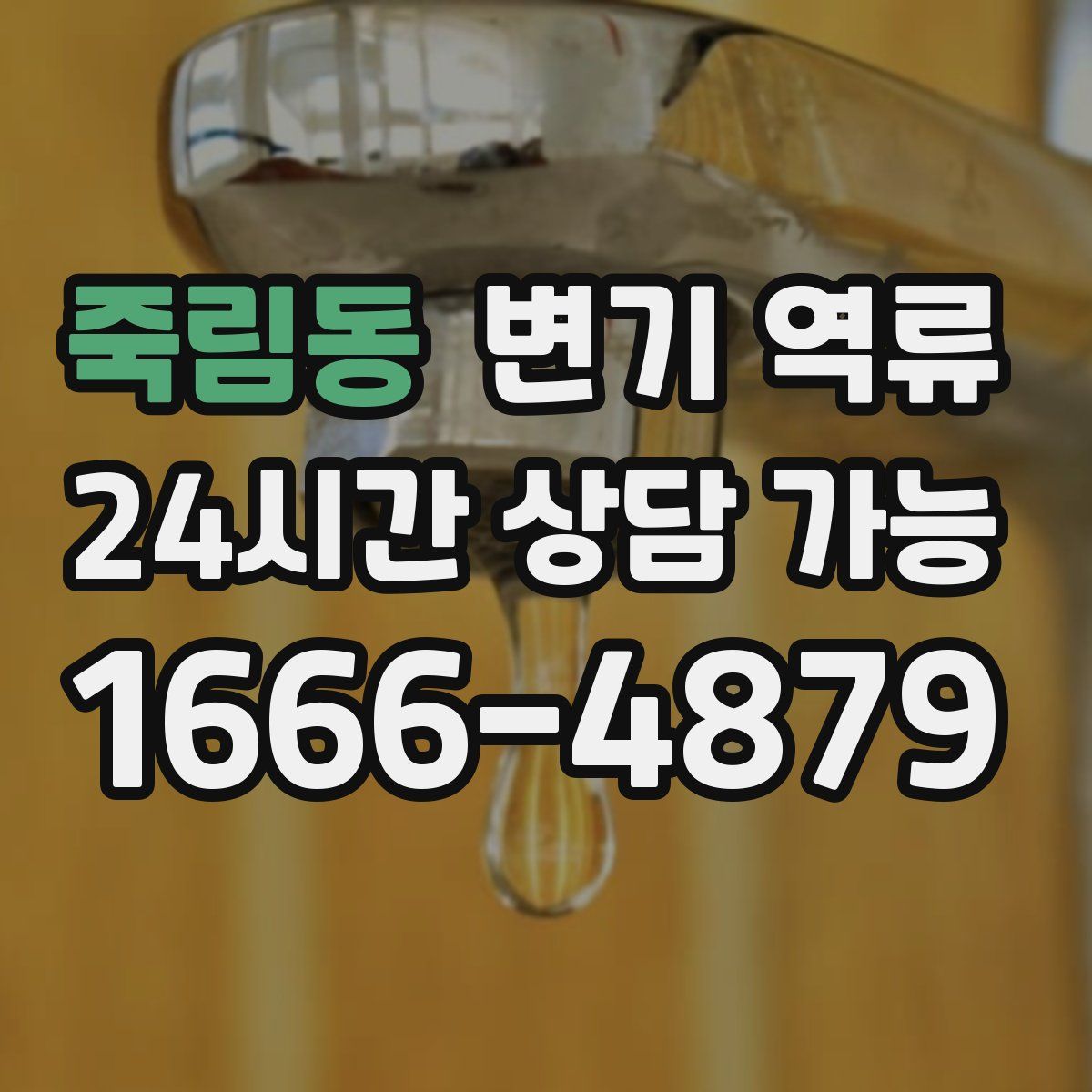 죽림동 변기 역류