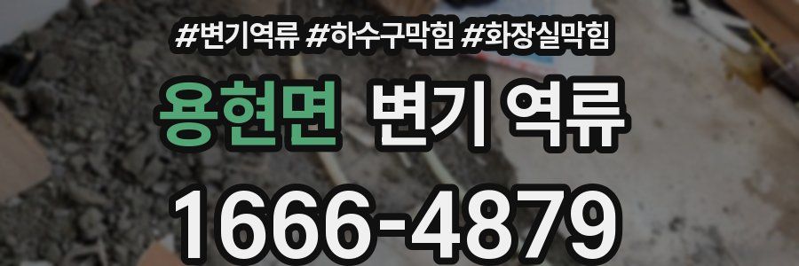 용현면 변기 역류