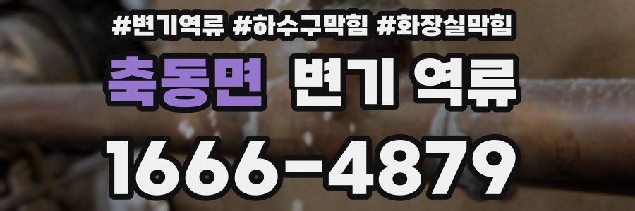 축동면 변기 역류