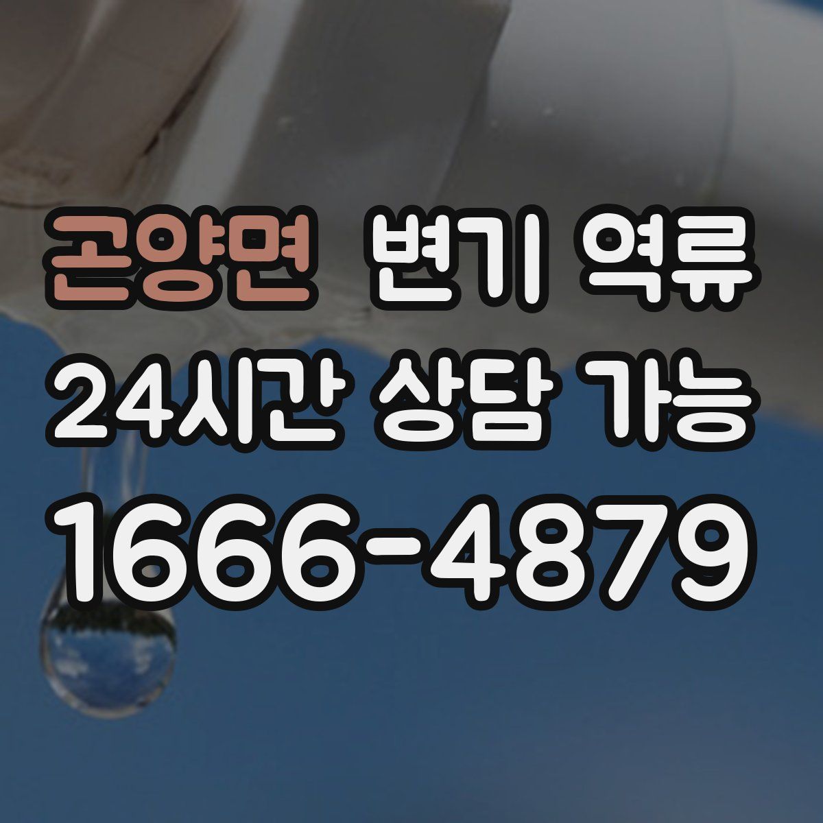 곤양면 변기 역류