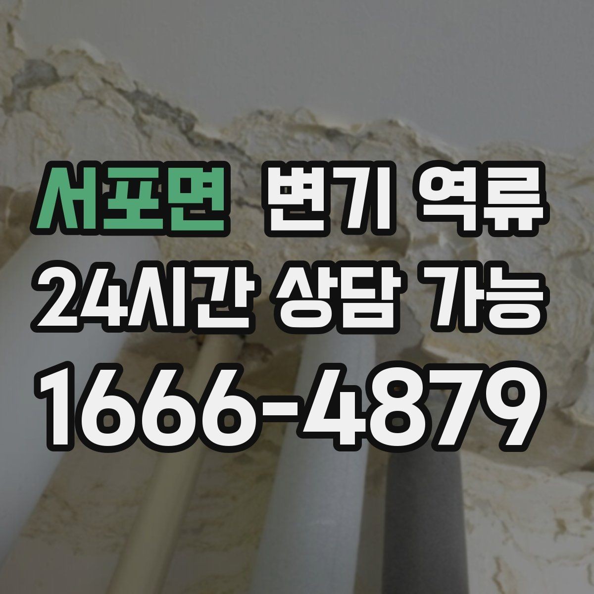 서포면 변기 역류 아이·반려동물 접근을 막아야 하는 이유