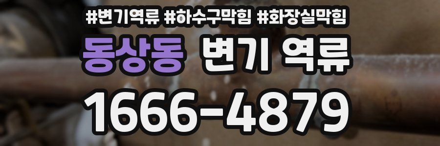 동상동 변기 역류