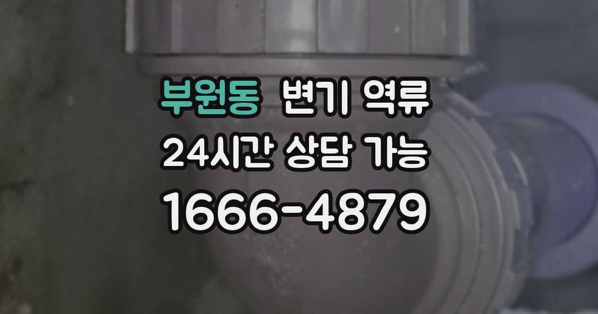 부원동 변기 역류