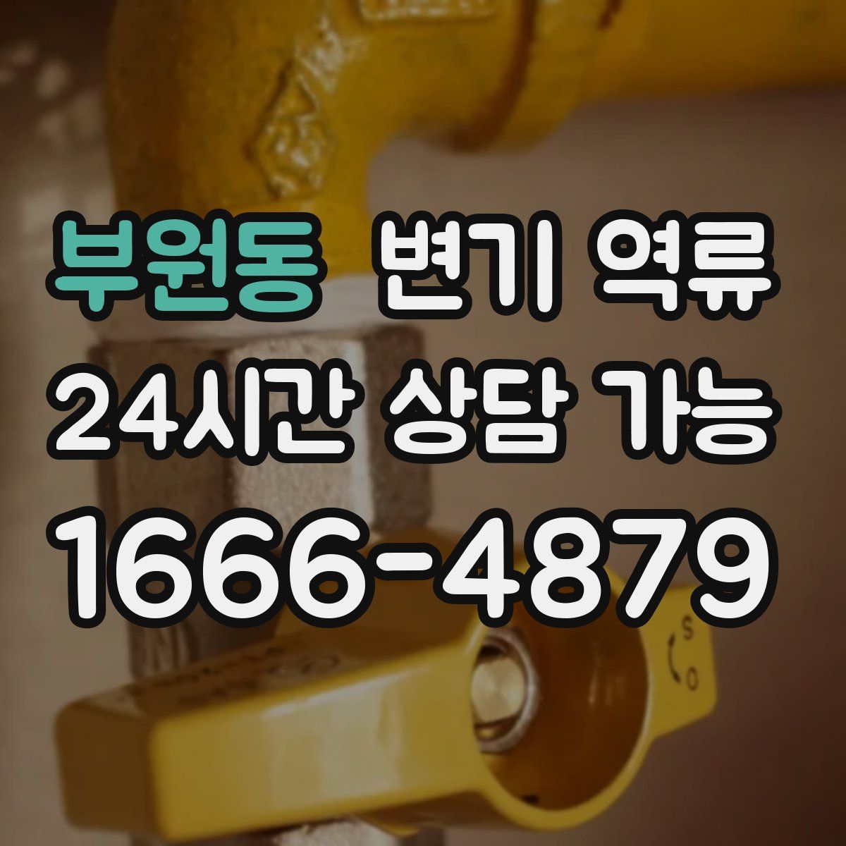 부원동 변기 역류