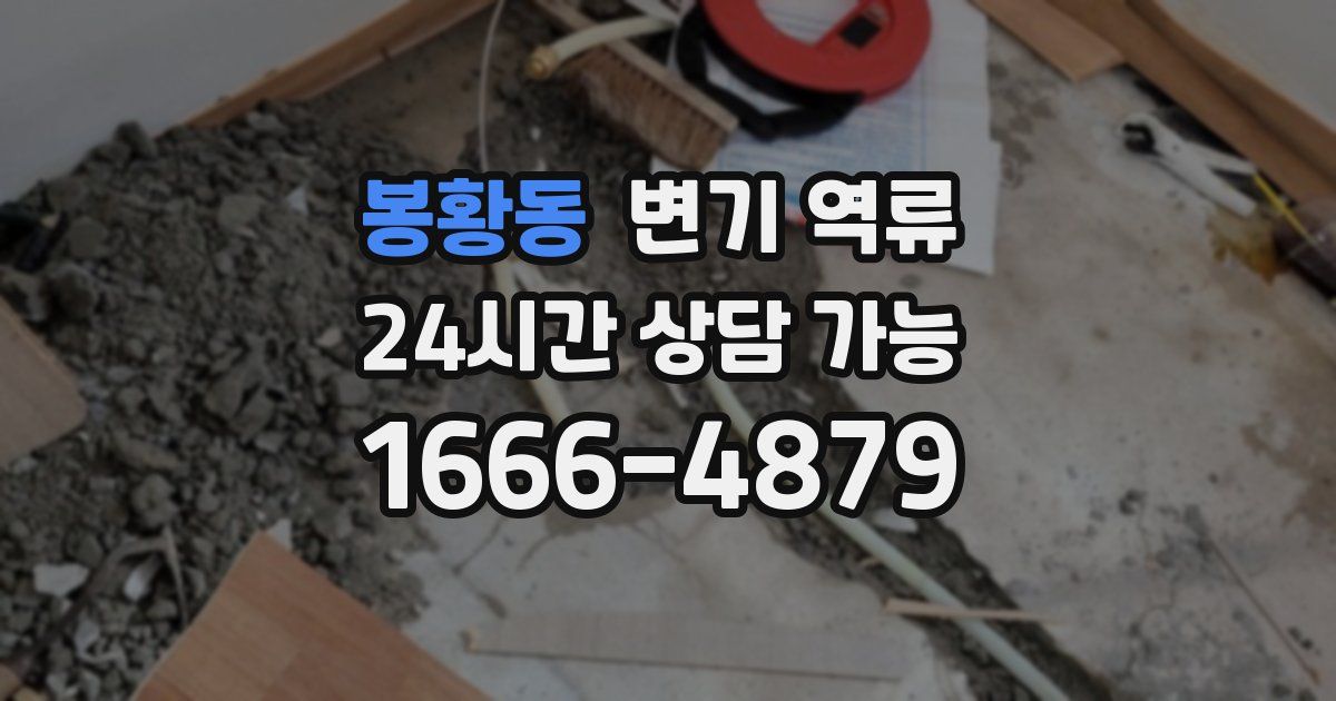 봉황동 변기 역류