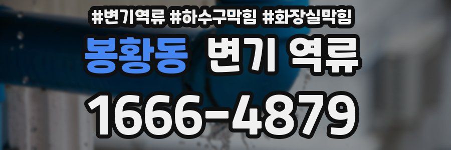 봉황동 변기 역류