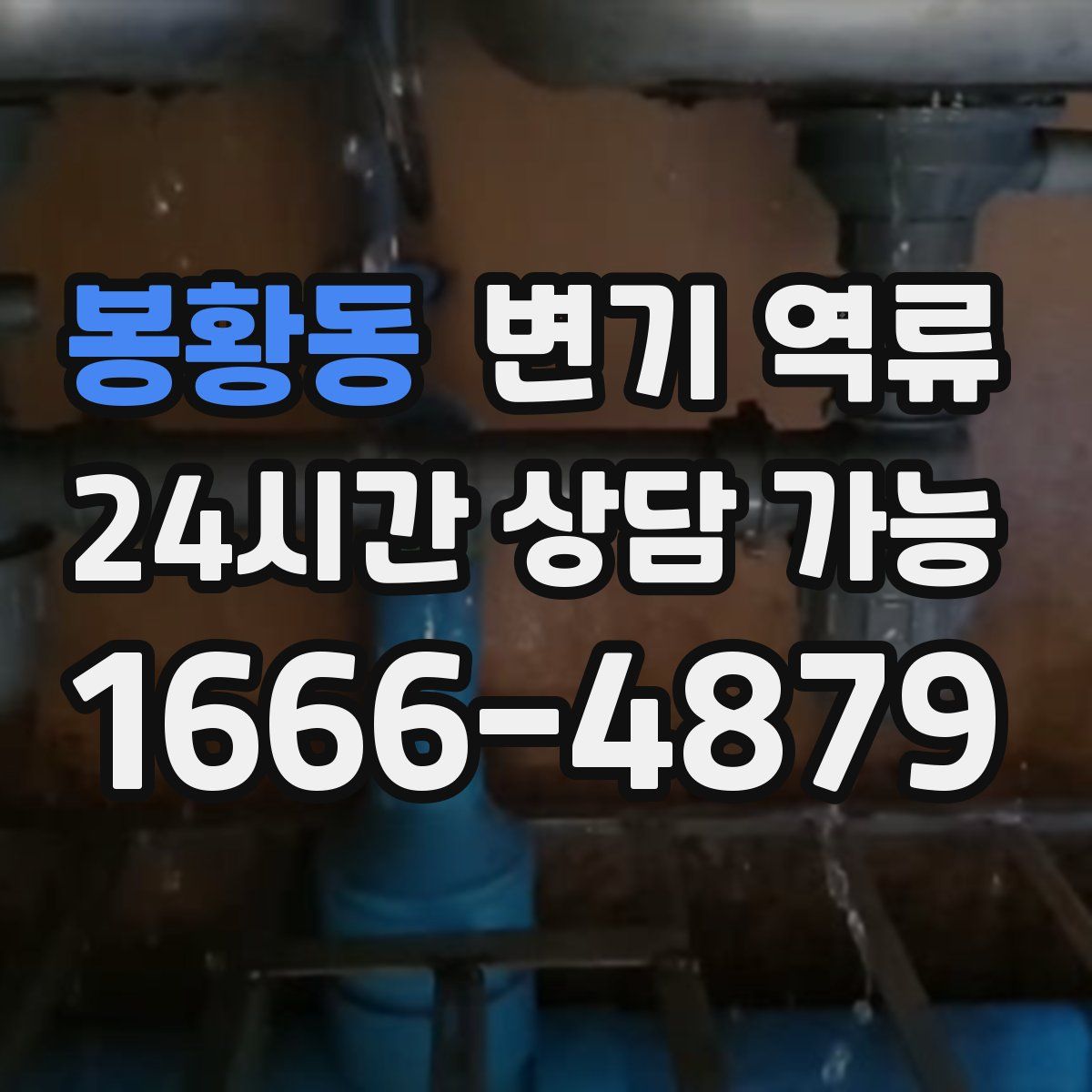 봉황동 변기 역류