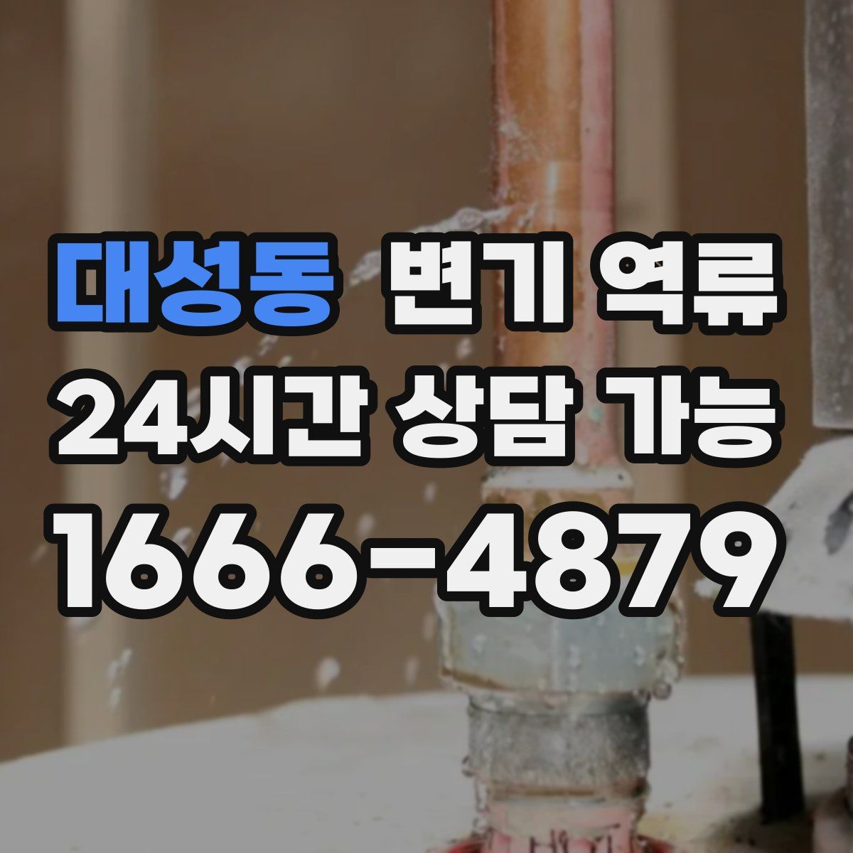 대성동 변기 역류