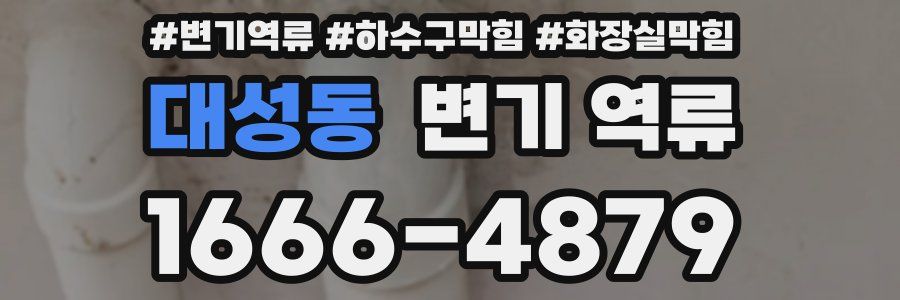 대성동 변기 역류