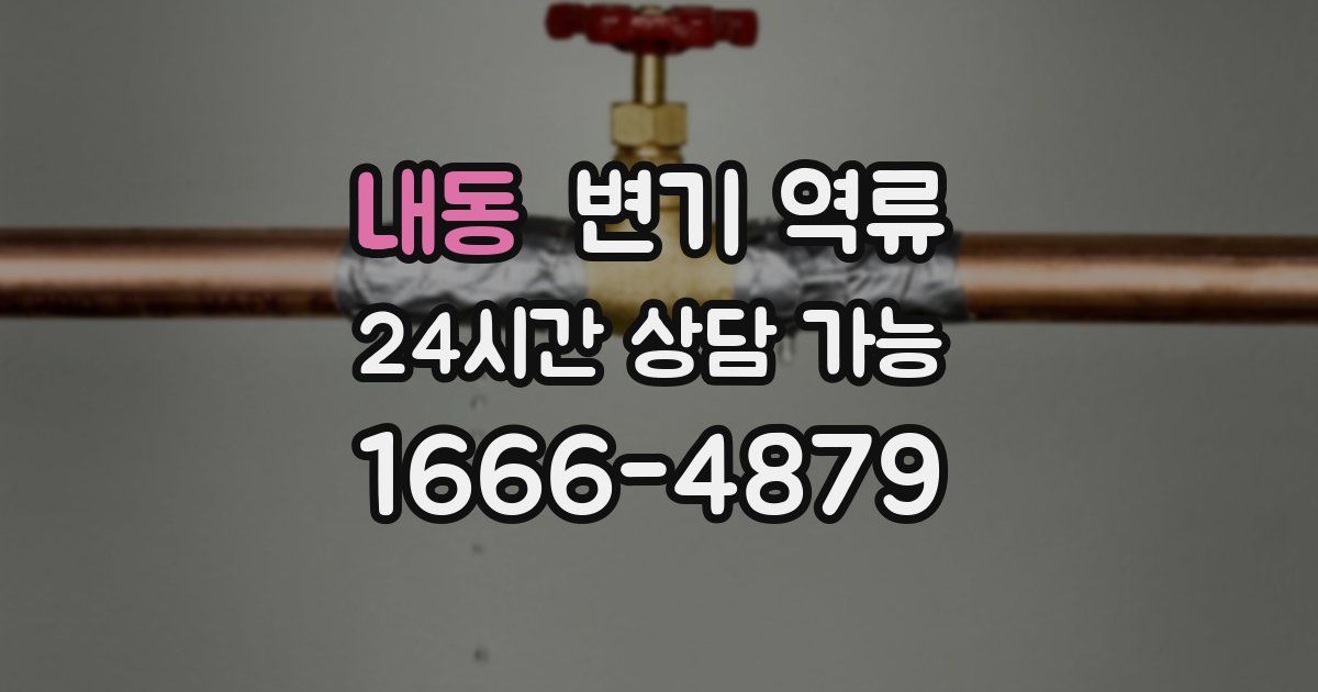 내동 변기 역류