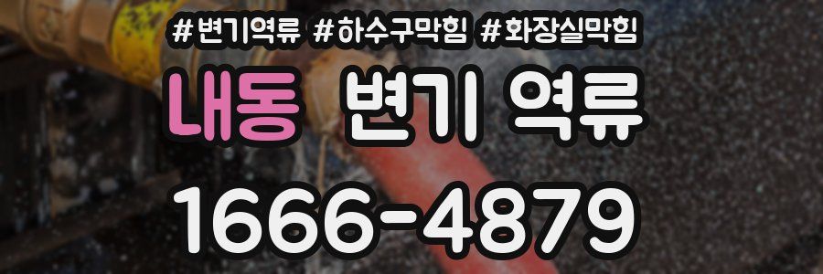 내동 변기 역류