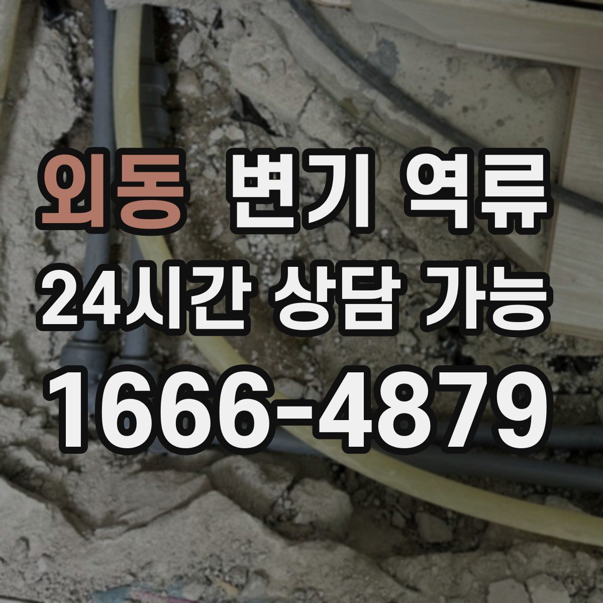 외동 변기 역류