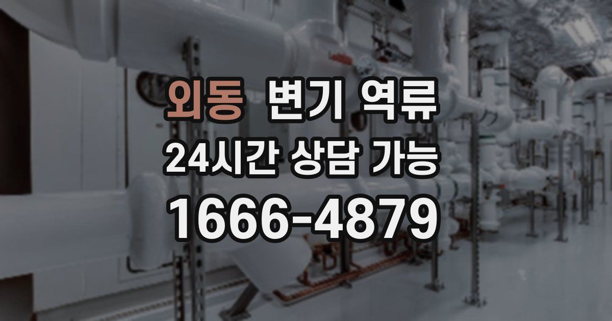 외동 변기 역류