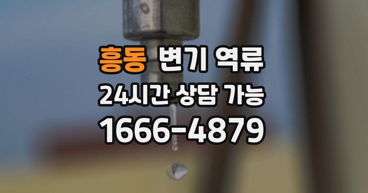 흥동 변기 역류
