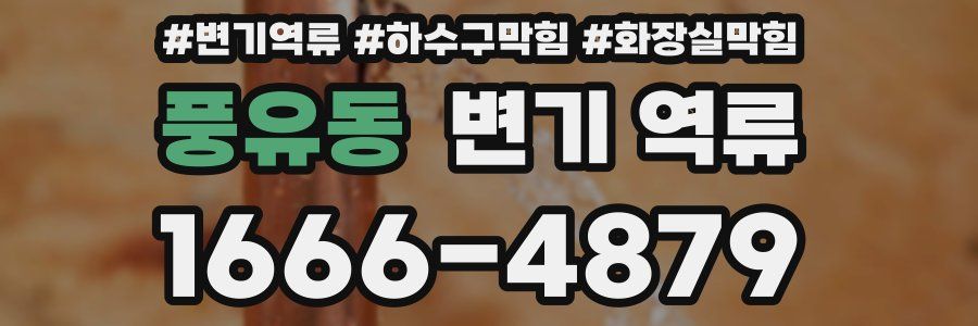 풍유동 변기 역류