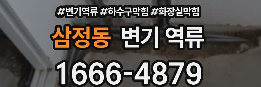 삼정동 변기 역류