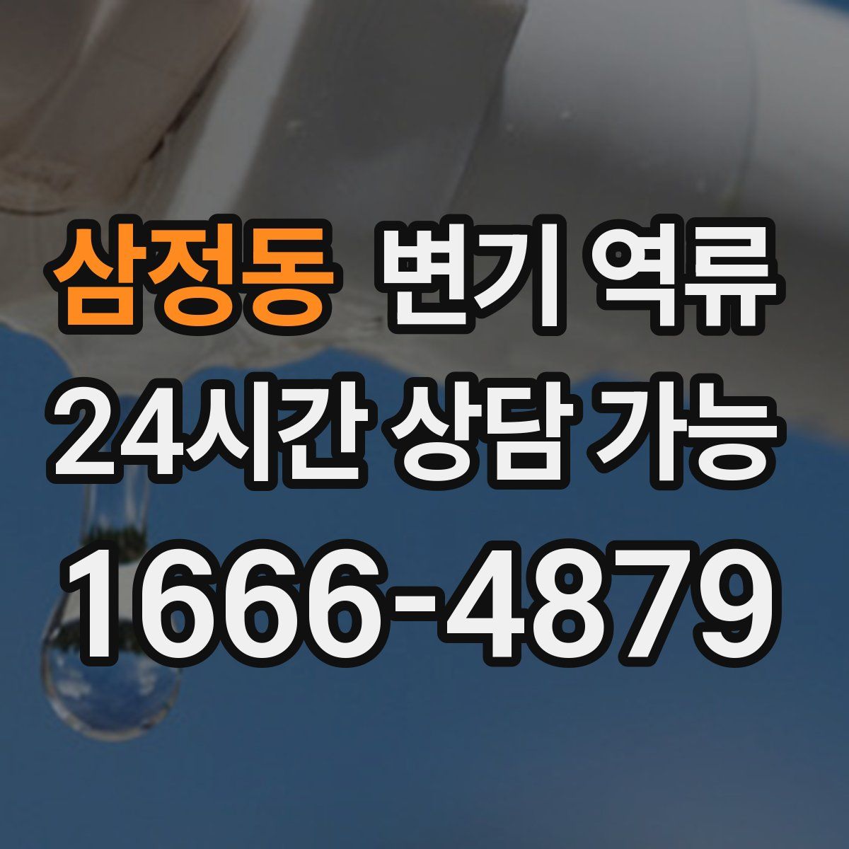 삼정동 변기 역류