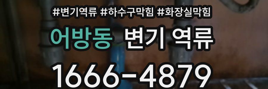 어방동 변기 역류