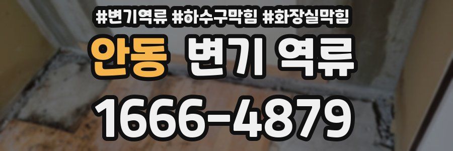 안동 변기 역류